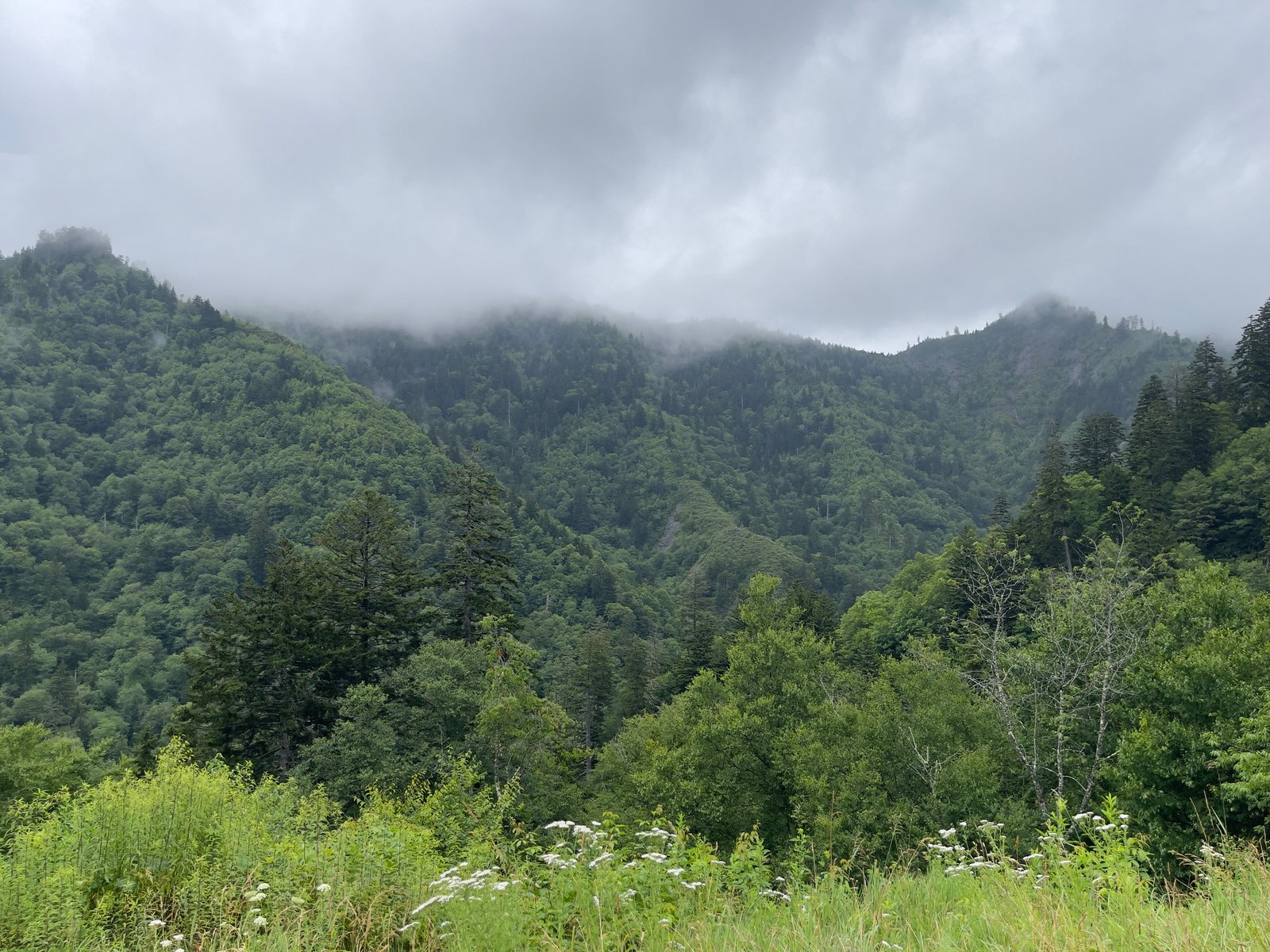 Chimney Top Overlook