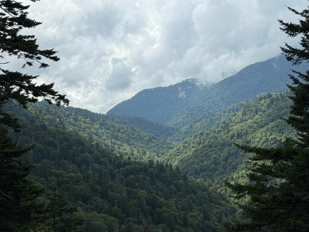 Ben Morton Overlook Smoky Mountain